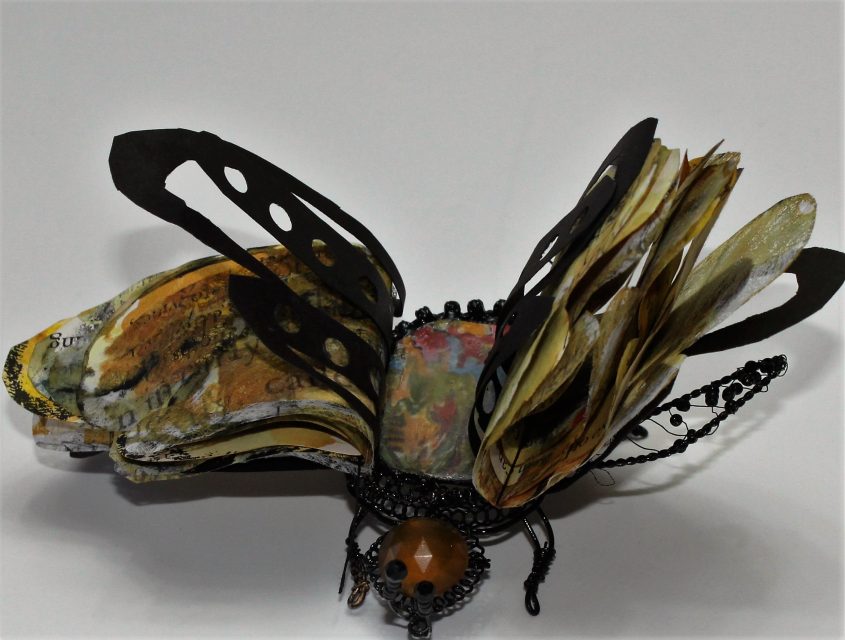 Insect Book Series